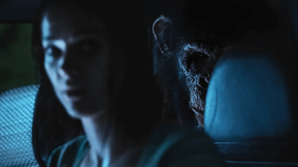 Primát sedící v autě za ženou